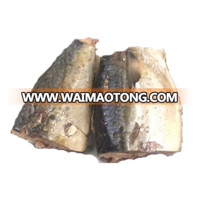 Mackerel Variety and Canned Style canned Mackerel fish in brine